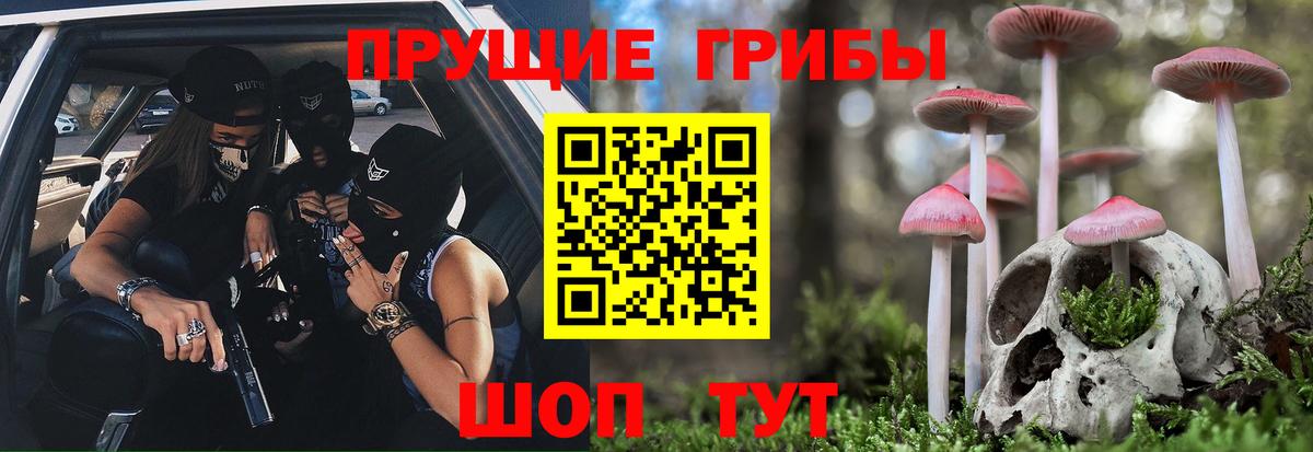купить закладку  Вход с VPN  Амурск  Галлюциногенные грибы GOLDEN TEACHER 